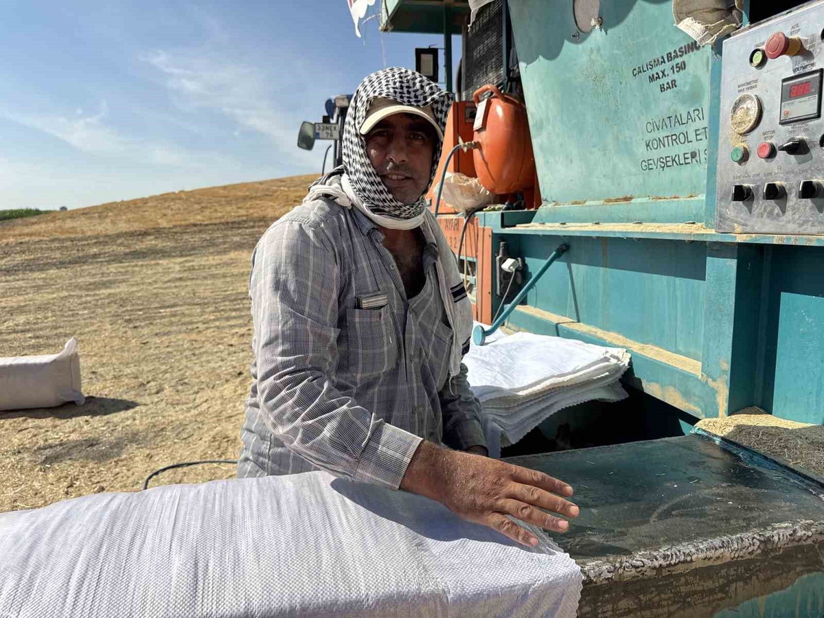 Diyarbakır'da Mehmet Yakışıklı, samanı tarlada 2.50-2.60 TL'den alıp 4 TL'ye satıyor