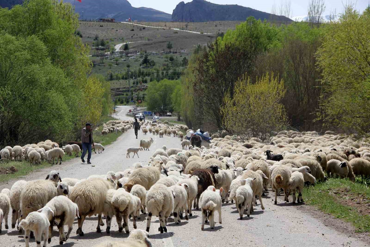 Erzincan'da göçerler, Munzur yaylalarındaki 5 aylık sezonu tamamlayıp dönüşe geçti