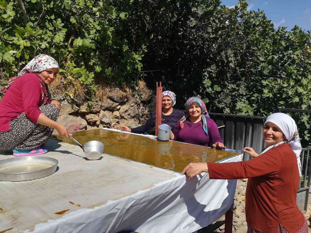 Erzincan Kemaliye'de kadınlar dutu imeceyle pestil ve pekmeze dönüştürüyor