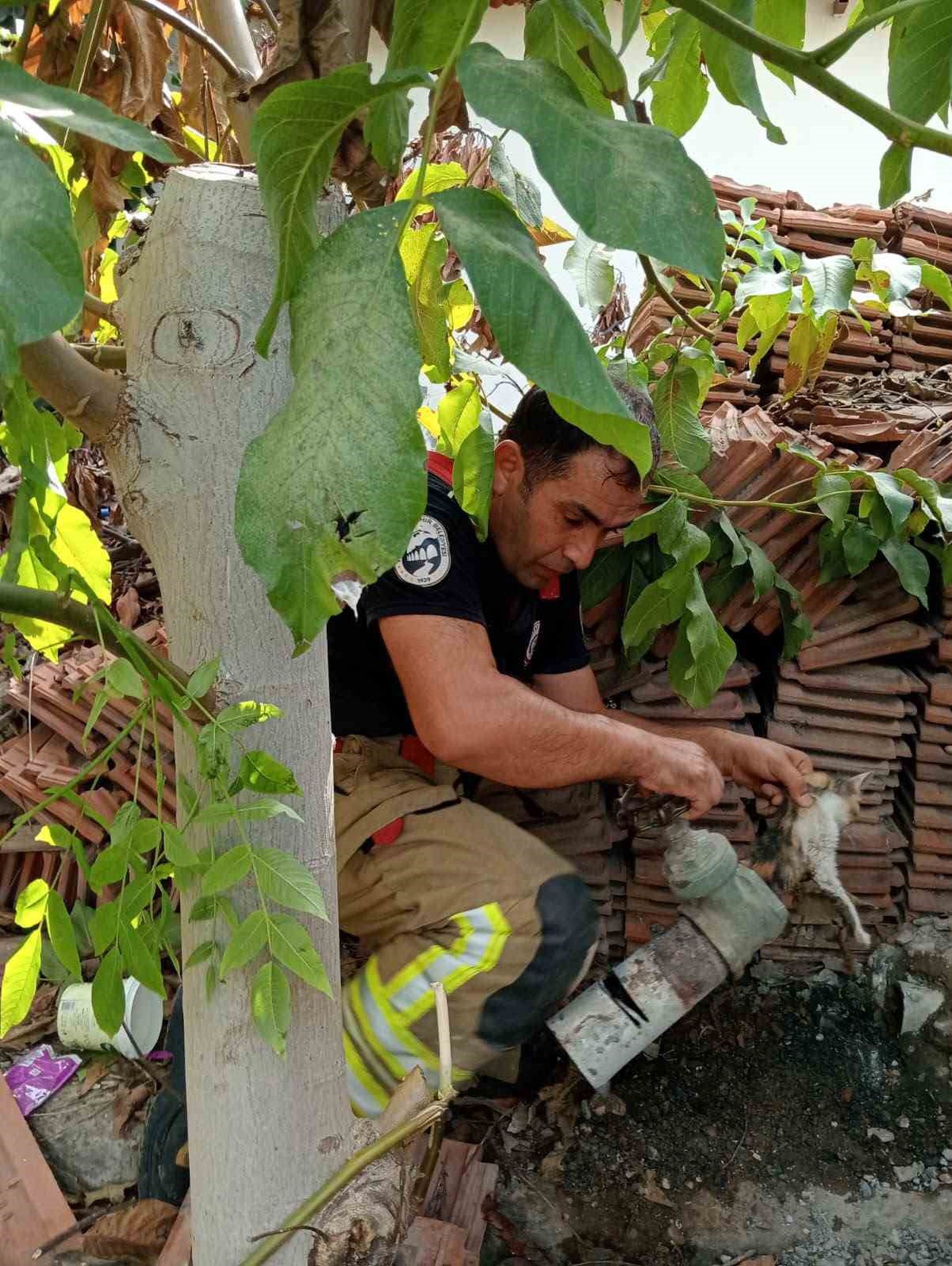 Hatay İskenderun'da boruya sıkışan yavru kedi itfaiye ekiplerince kurtarıldı