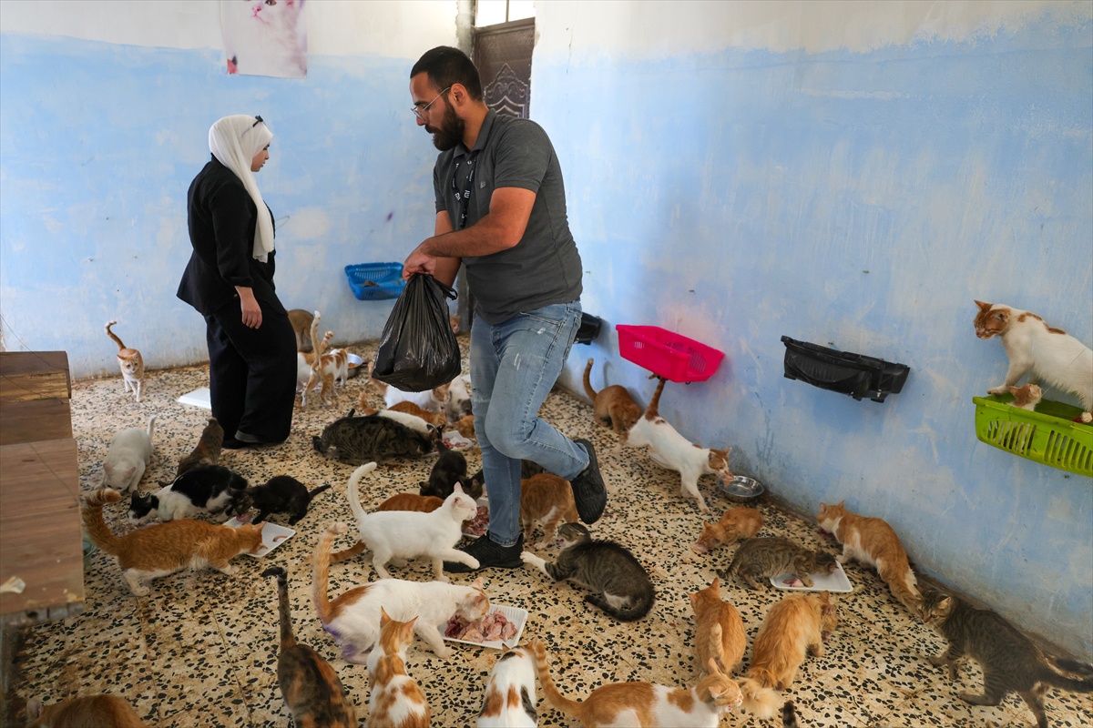 Humus'ta genç, devletin tahsis ettiği binayı 350 civarı sokak hayvanına barınak yaptı