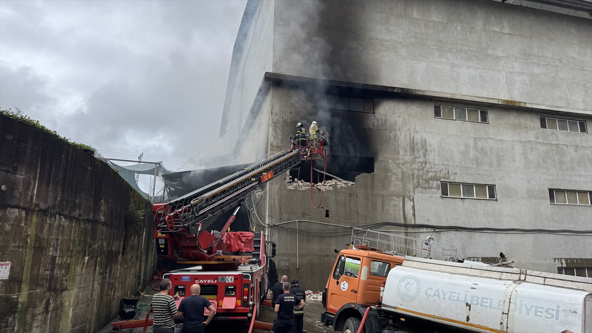 Rize Çayeli'de çay fabrikası deposundaki yangın itfaiye ekiplerince söndürüldü