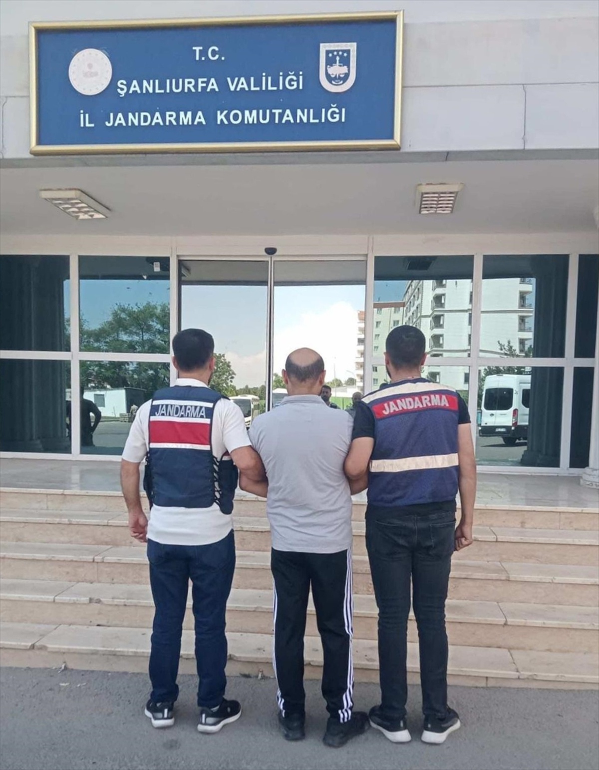 Şanlıurfa'da jandarmanın göçmen kaçakçılığı operasyonunda 20 şüpheli gözaltına alındı