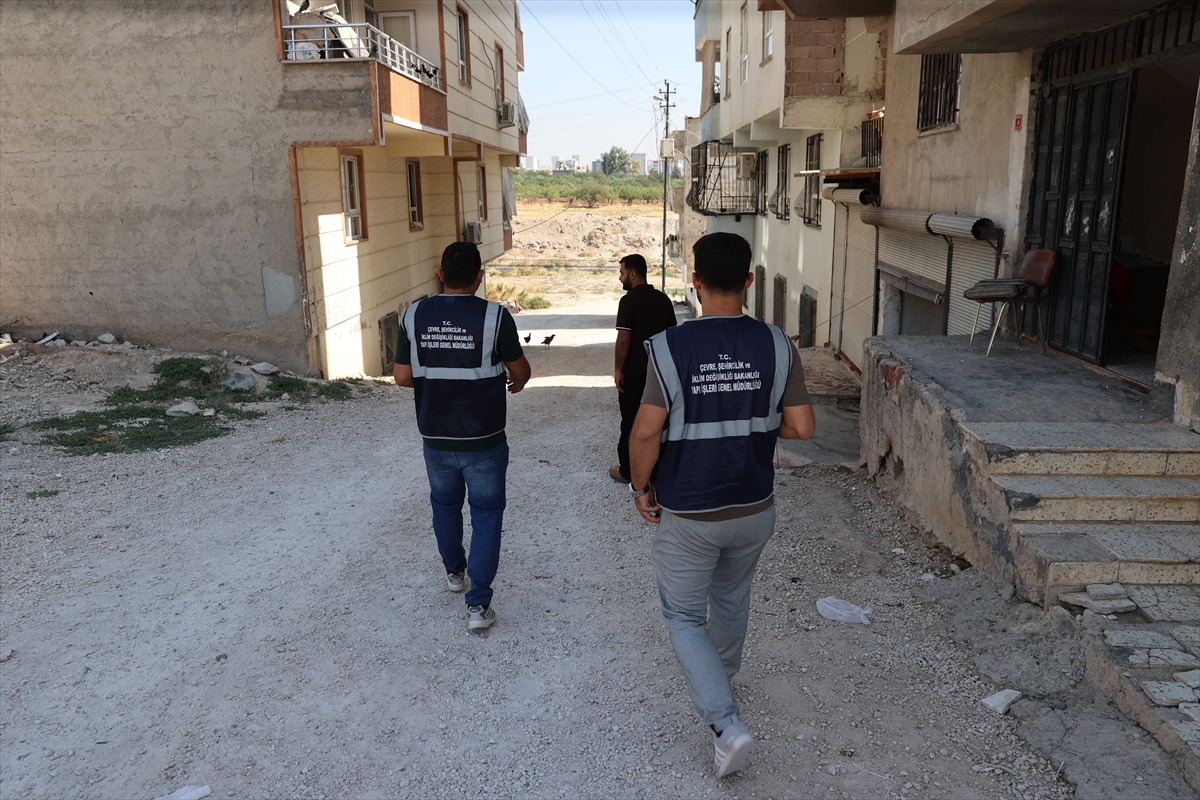 Şanlıurfa'daki 5,4 büyüklüğündeki depremde hasar tespiti için 419 ihbar inceleniyor