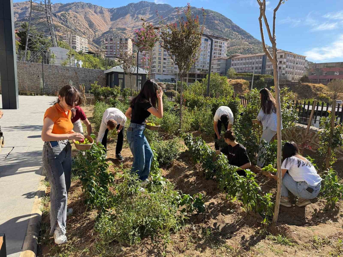 Sason İlçe Halk Kütüphanesi'nde öğrenciler ürettikleri sebzeleri hasat etti