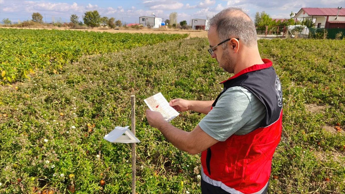 Seydişehir'de eğitim güvenliği toplantısı yapıldı, Beyşehir'de tarım takibi sürüyor