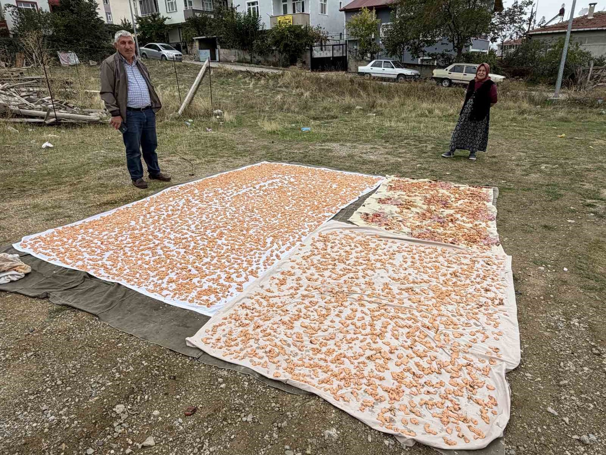 Sinop Boyabat'ta tarhana hazırlıkları Esentepe Mahallesi'nde başladı