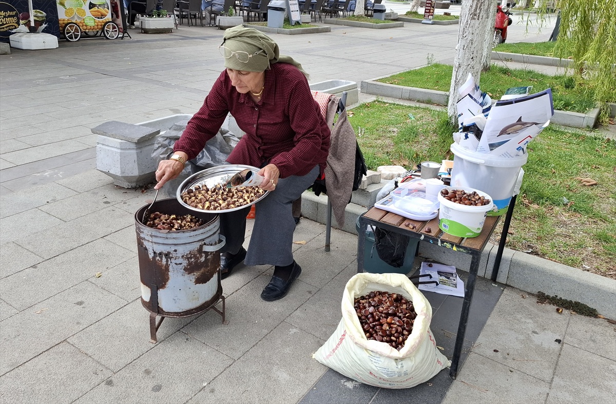 Sinop Erfelek'te kestane hasadı başladı, rekoltede yüzde 50'ye varan artış bekleniyor