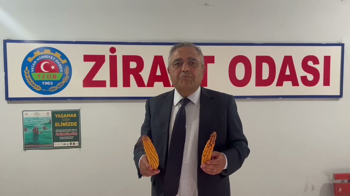 Tanrıkulu, Batman'da mısırın kilosunun en az 17 bin lira olması gerektiğini söyledi