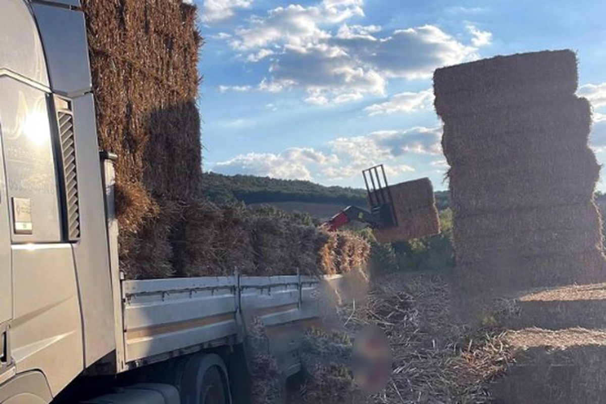 Tekirdağ Malkara'da saman balyalarının altında kalan 57 yaşındaki adam öldü