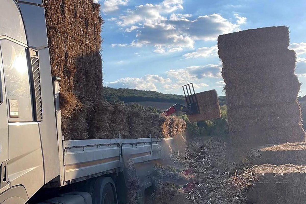 Tekirdağ Malkara'da üzerine yaklaşık 500 kilo saman balyası düşen adam öldü