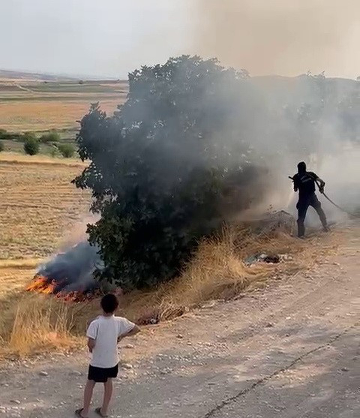 Adıyaman Kuştepe köyünde bahçede çıkan yangın ağaçlara zarar verdi