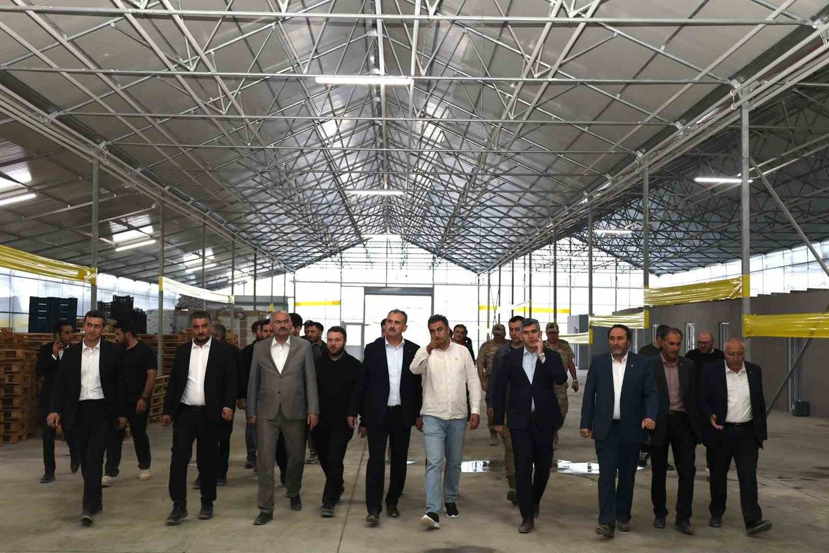 Ağrı Valisi Bozkurt, Diyadin Jeotermal Sera OSB'deki çalışmaları yerinde inceledi