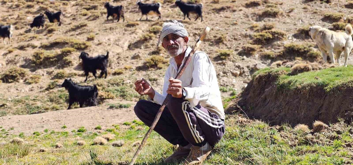Bursa'dan Muş Hasköy'e dönen 60 yaşındaki Kortaş, 110 hayvanla geçimini sağlıyor