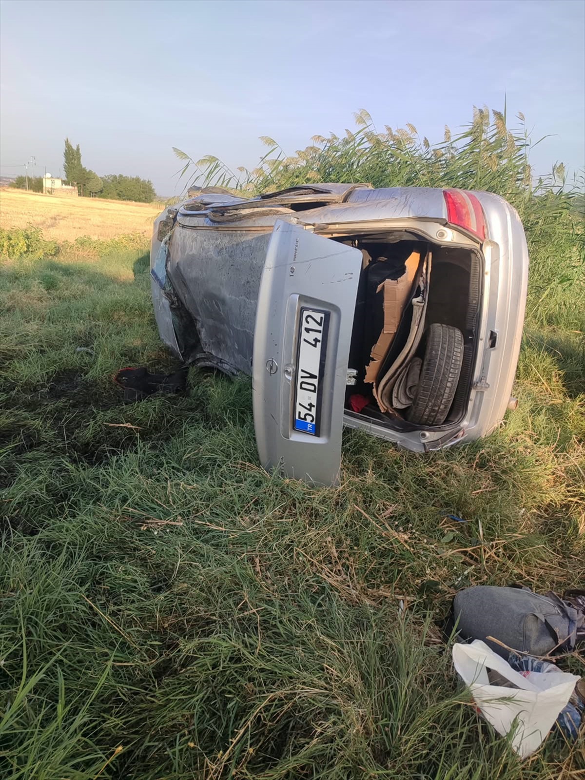 Diyarbakır-Bingöl yolunda otomobil devrildi, 4'ü çocuk 9 kişi yaralandı