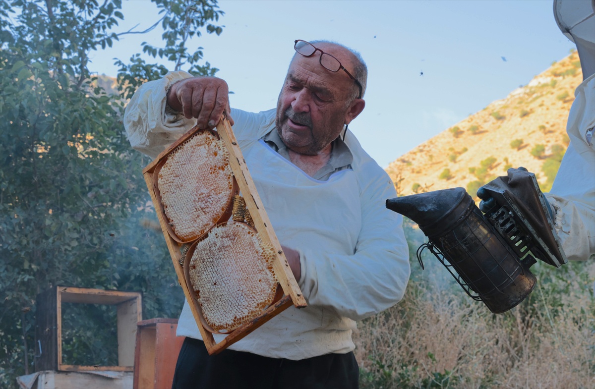 Ekrem Özçelik, 50 yıldır Hakkari'de yaklaşık 500 kovandan bal üretiyor