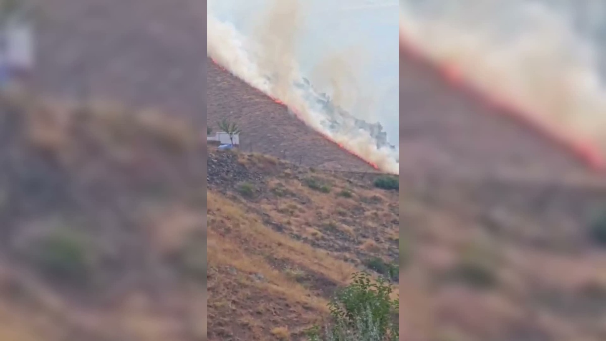 Elazığ Palu'da Güllüce Köyü'nün dağlık kesiminde arazi yangınına müdahale sürüyor