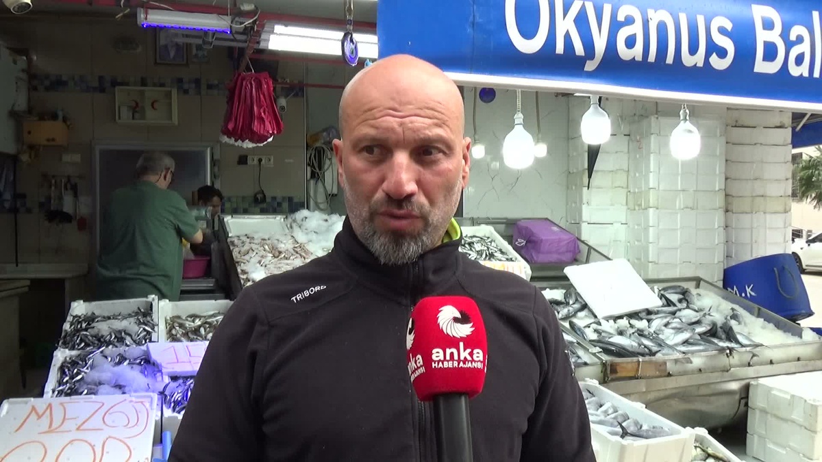 Sinop’ta balıkçılar 25 günde bol palamut tuttu ancak gelir masrafları karşılamıyor