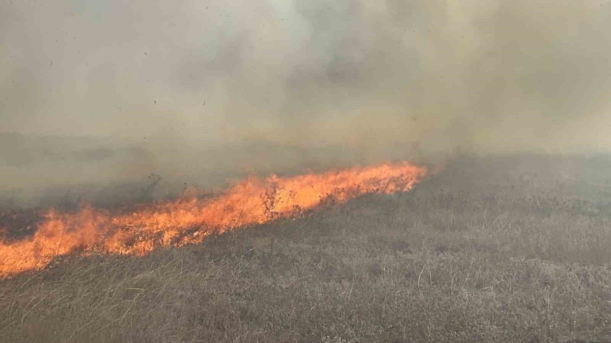 Tekirdağ Muratlı'da mera yangını söndürüldü, duman maddi hasarlı kazaya yol açtı