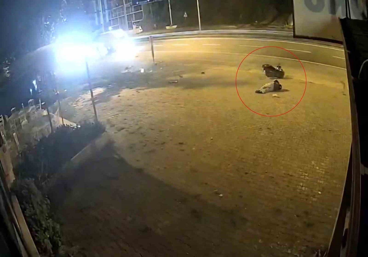 Trabzon Arsin'de 17 yaşındaki motosiklet sürücüsü trafik levhasına çarpıp yaralandı