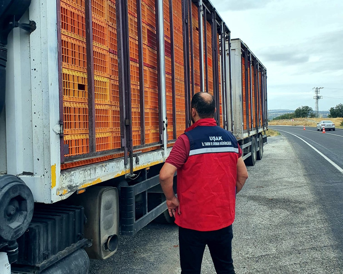 Uşak'ta tarım ve jandarma ekipleri hayvan nakil belgelerini denetliyor