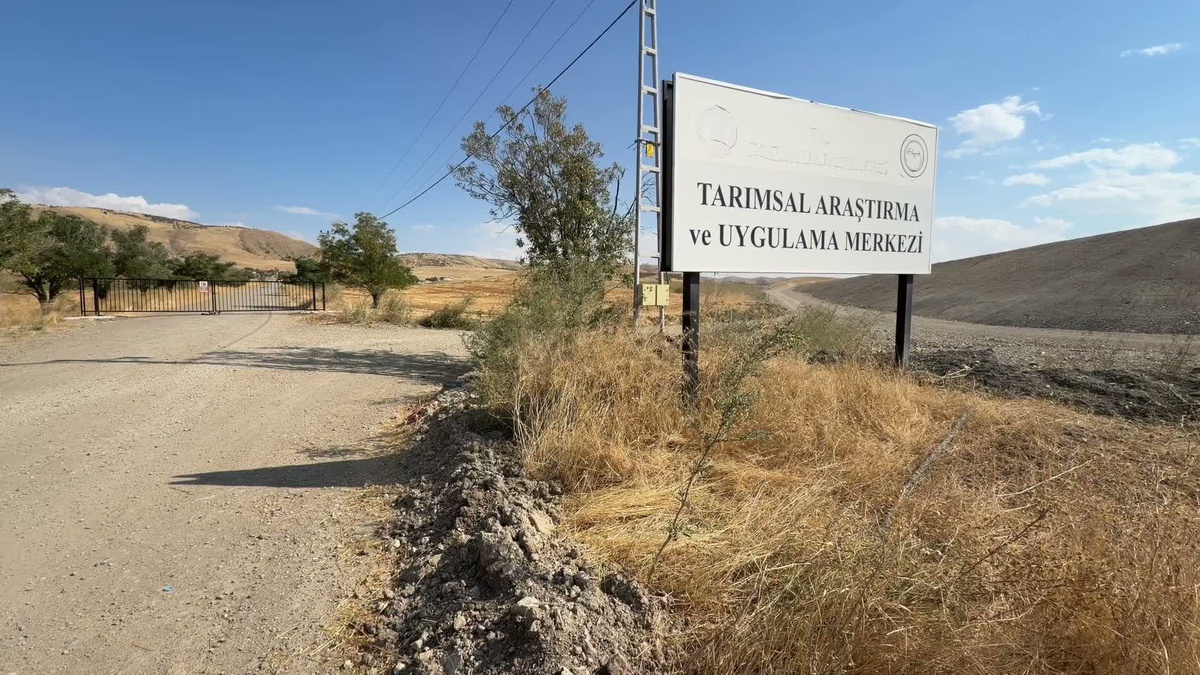 Yozgat Bozok Üniversitesi dışa bağımlılığı azaltacak etlik piliç projesi başlattı
