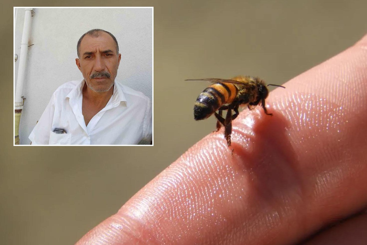 Arı sokması sonrası fenalaştı! Hastanede hayatını kaybetti