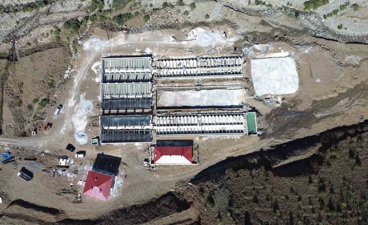 Erzincan'da 16 tesiste üretilen balıklar 18 ülkeye ihraç ediliyor