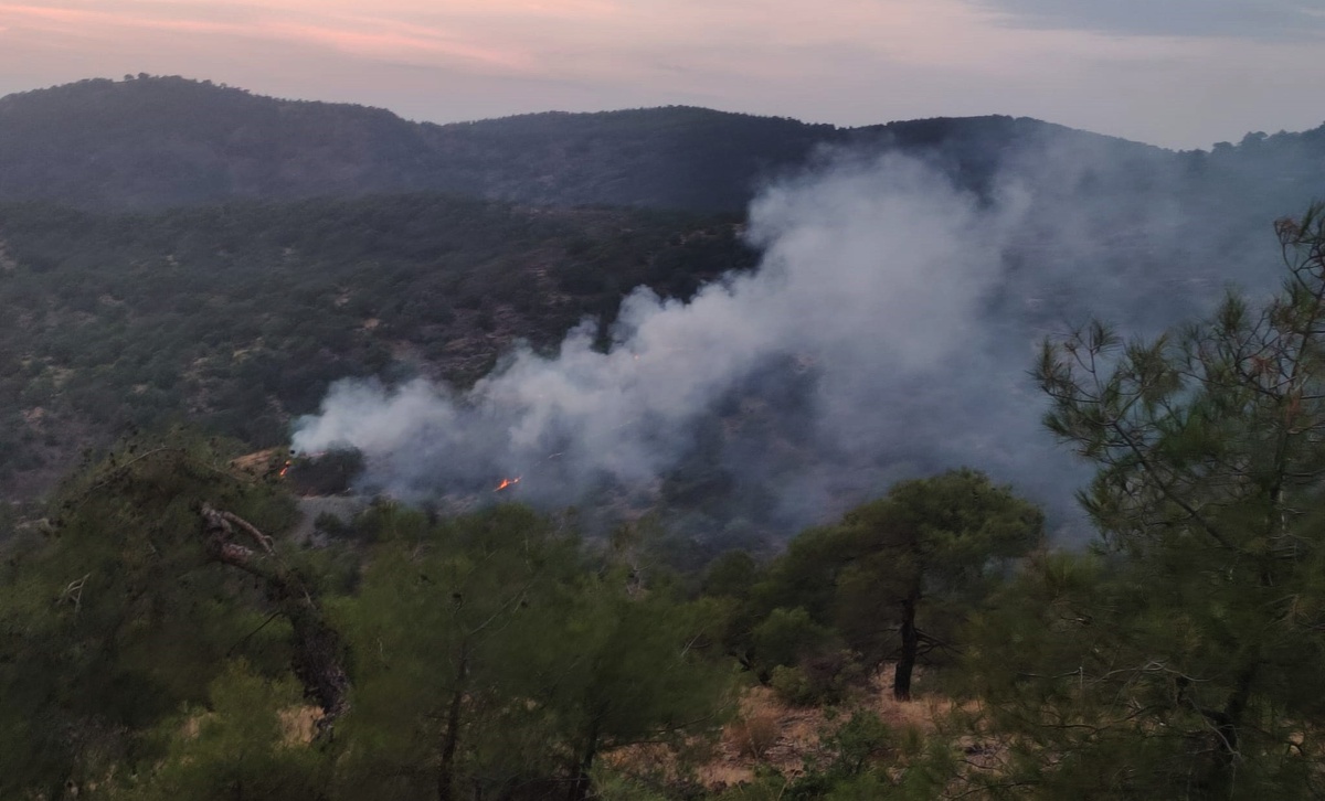 Gaziantep İslahiye'de orman yangını kontrol altına alındı, 4 dönüm alan zarar gördü