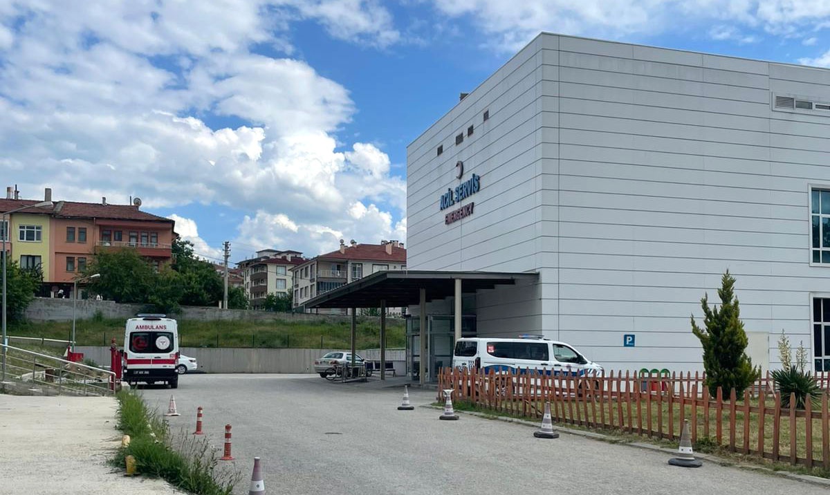Kastamonu Taşköprü'de orman işçisi arı sokması sonucu hayatını kaybetti