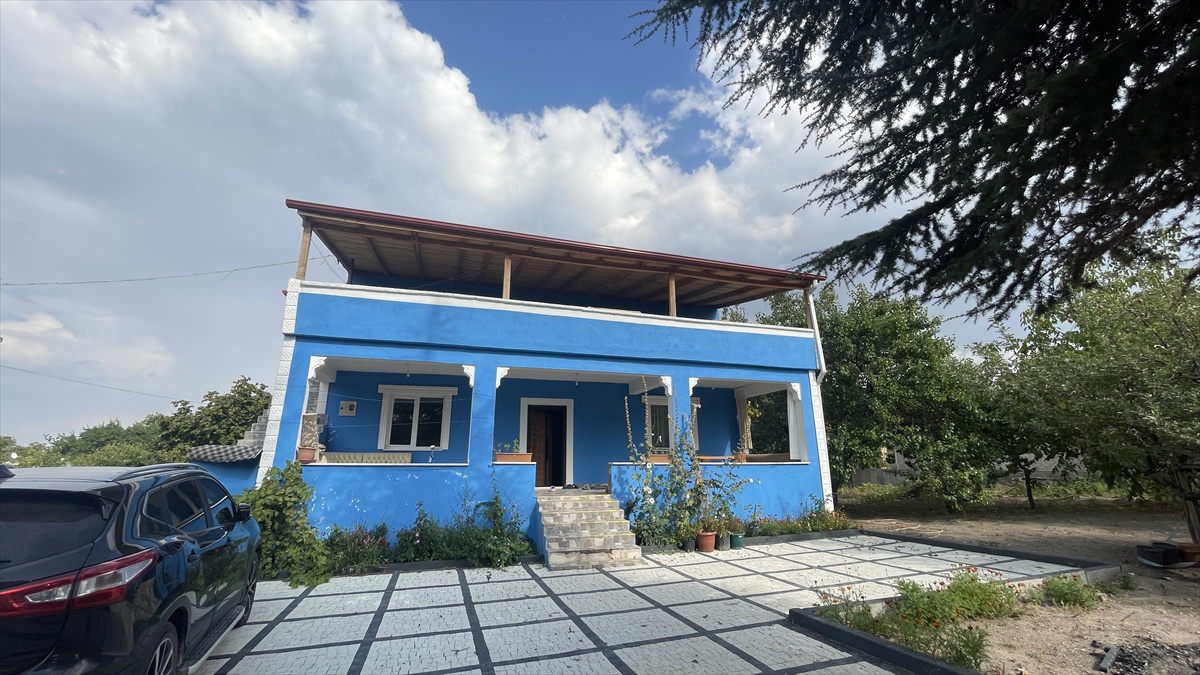 Kayseri Hacılar'da arı saldırısına uğrayan ailede 4 kişiden 2'si hastaneye kaldırıldı