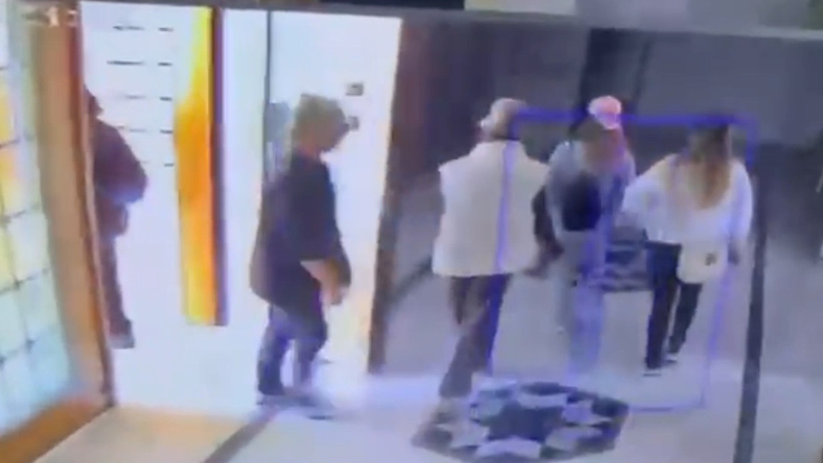 Hırsızlar kapıyı 4 kez açtı, kedi Mucize eve sokmadı! Küçükçekmece'de 45 dakikalık direniş kamerada