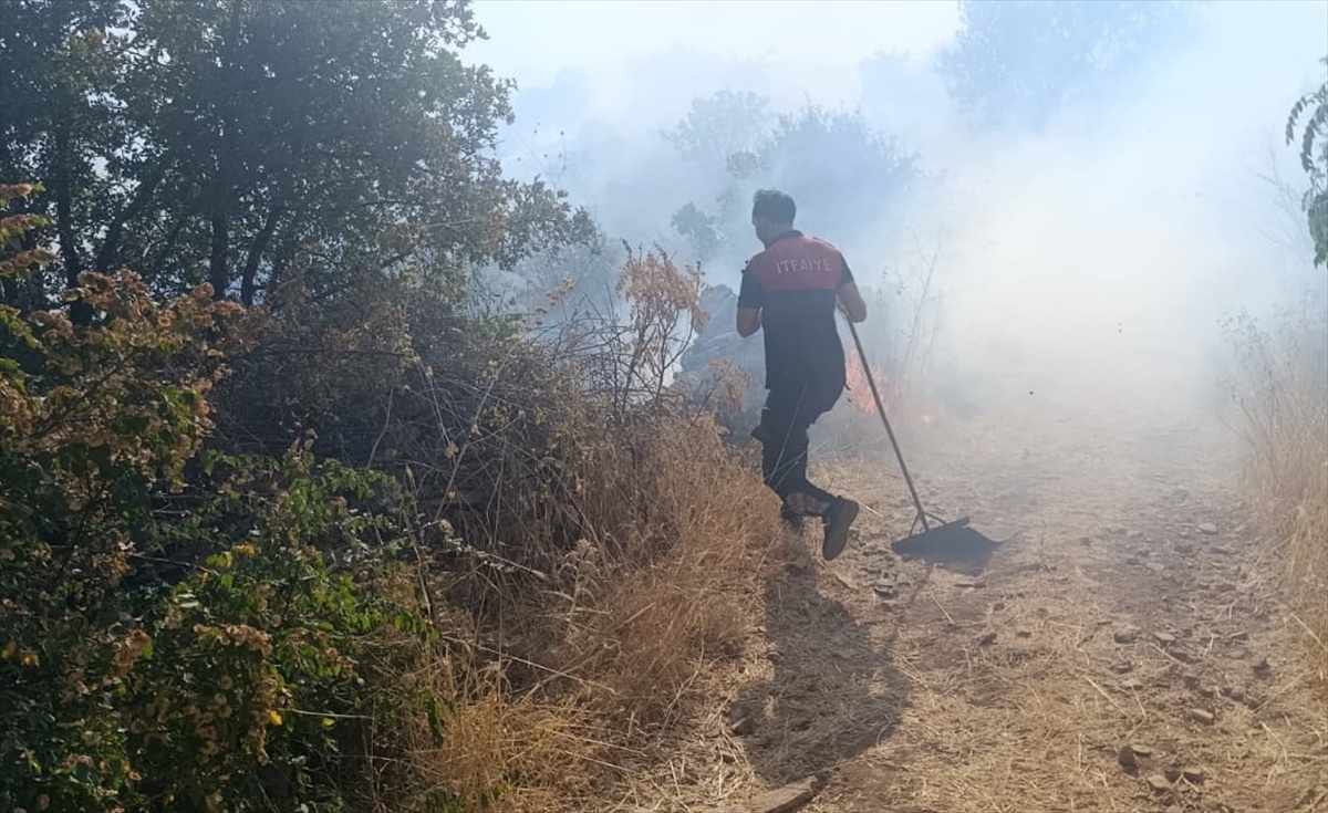 Siirt Doluharman'da orman yangınına Orman ve itfaiye ekipleri yaya müdahale ediyor