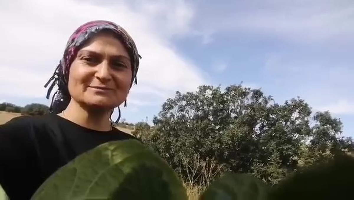 Sivas Arpaözü'nde karpuz ikram edilen tilki, günler sonra eşiyle geri döndü