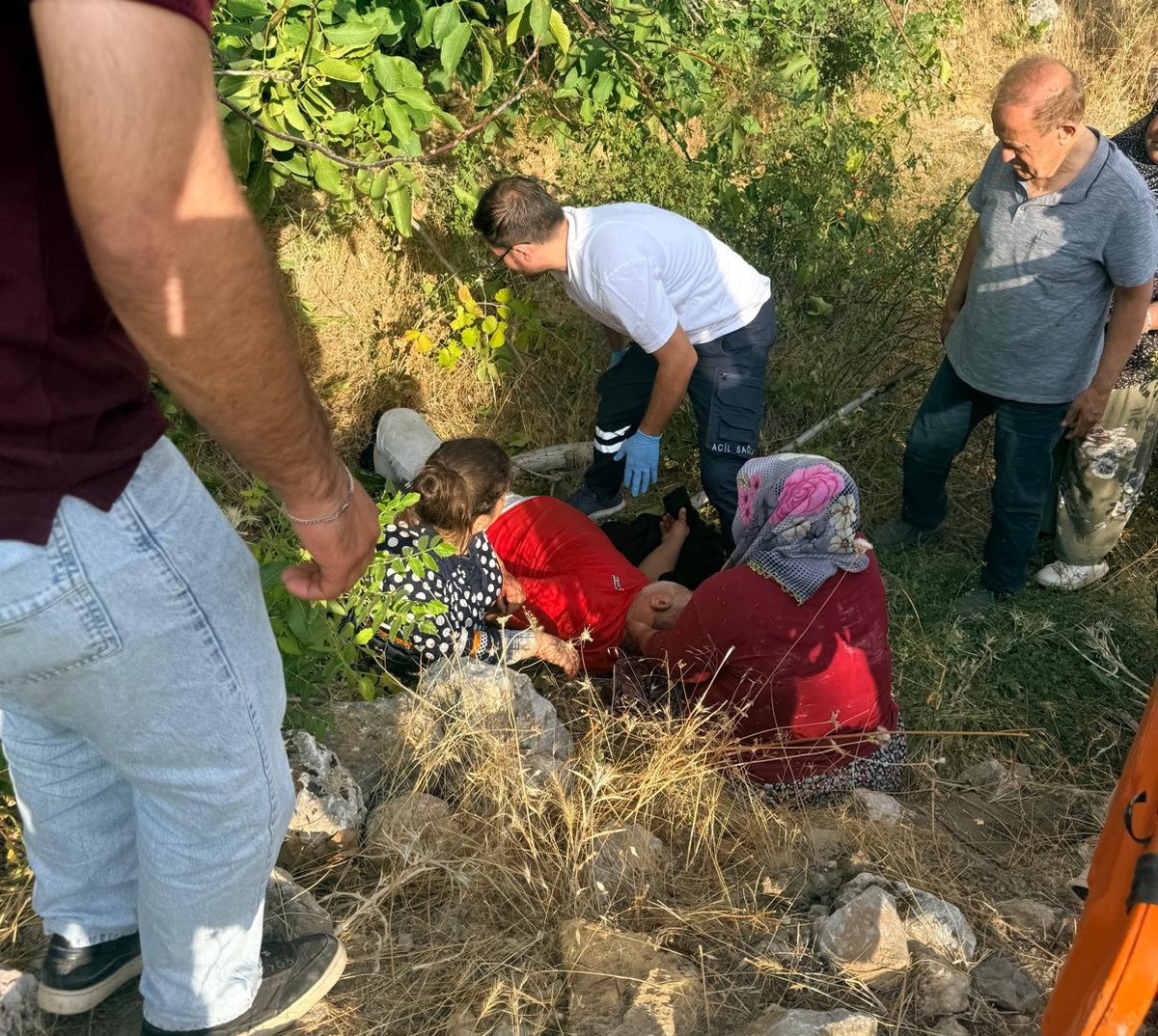 Adıyaman Gölbaşı'nda ceviz toplamak için ağaca çıkan kişi düşerek yaralandı