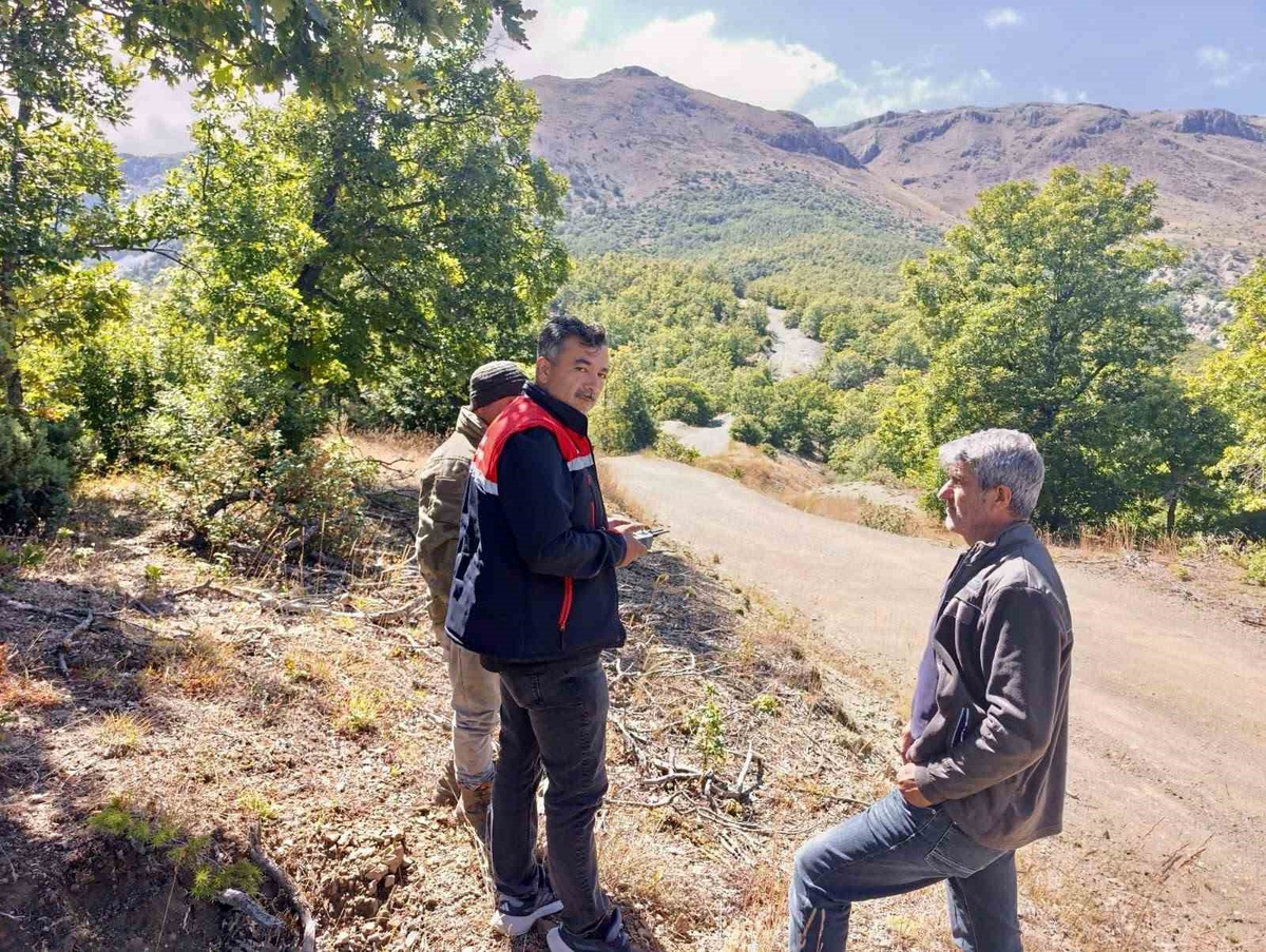Afyonkarahisar Sultandağı'nda kaybolan 9 büyükbaş hayvan dron desteğiyle bulundu
