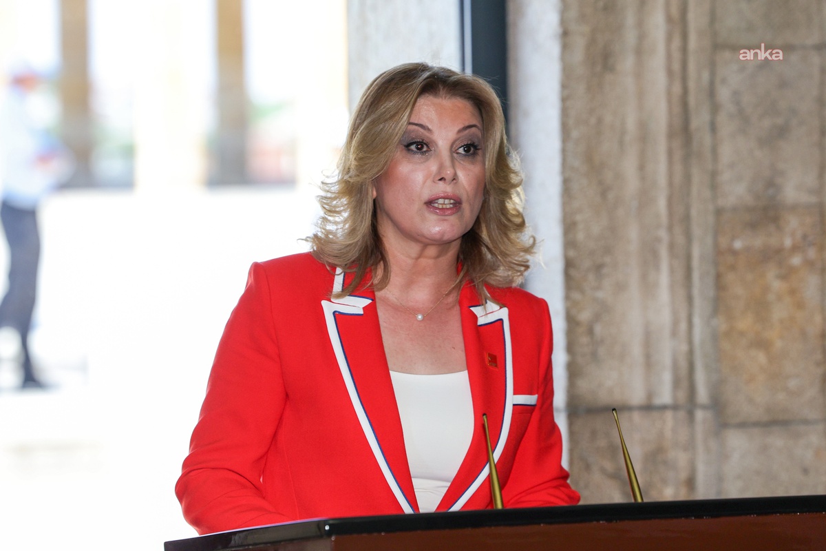 Asu Kaya, okula silahla girilmesini ciddi güvenlik ve yönetim sorunu olarak gördü