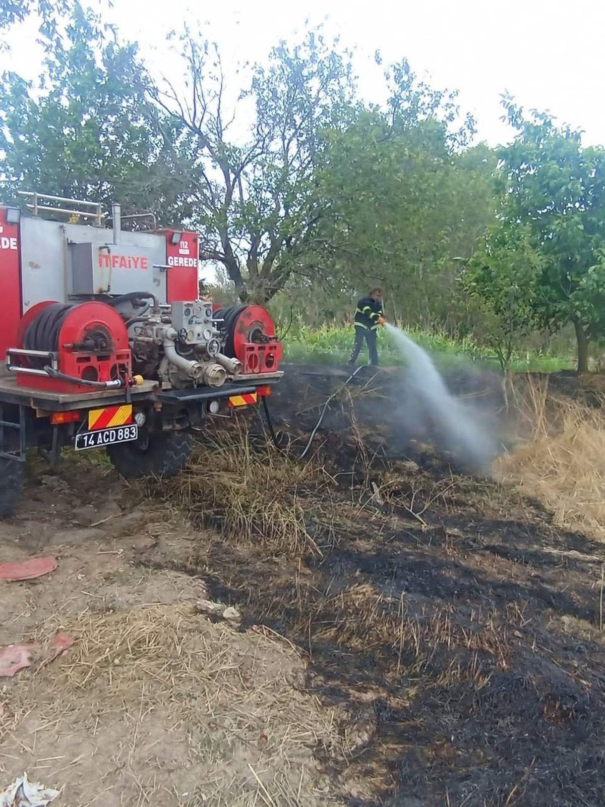Bolu Gerede'de elektrik teline çarpan kuş yanarak düştü, anız yangını çıktı