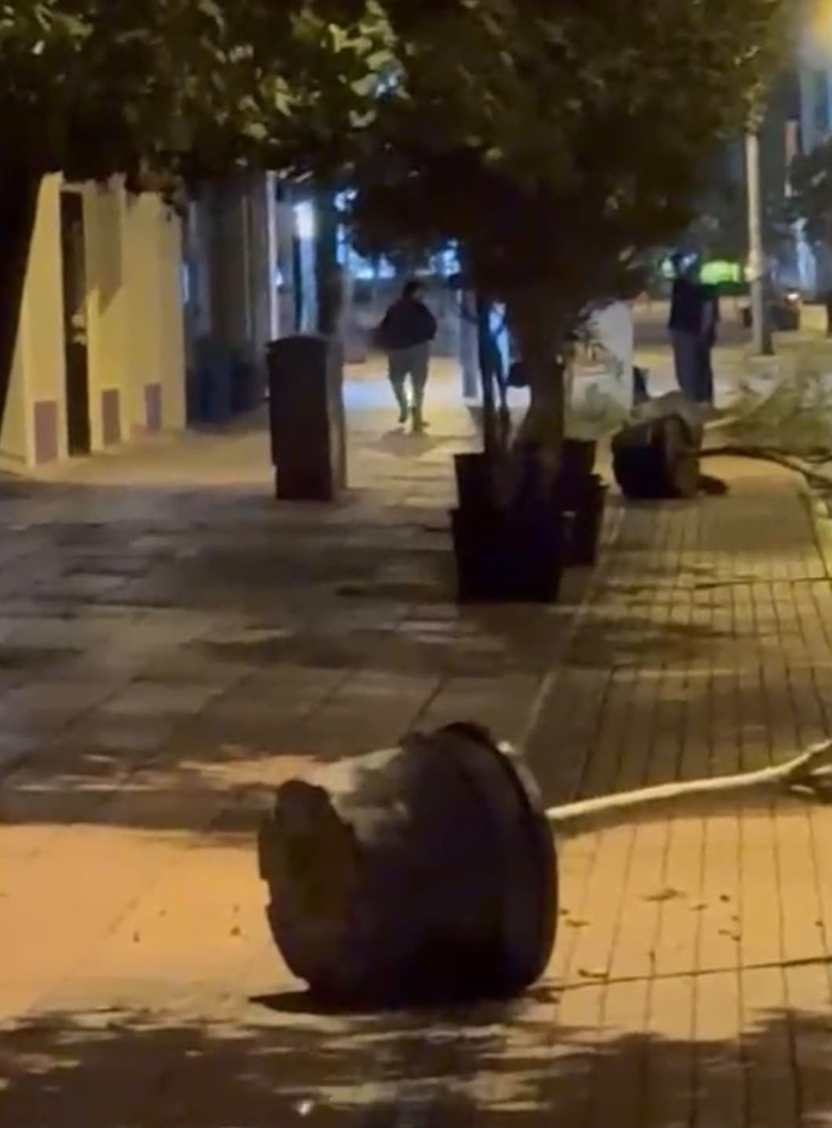 Eskişehir'de saksıları tek tek deviren kişi cep telefonu kamerasıyla görüntülendi