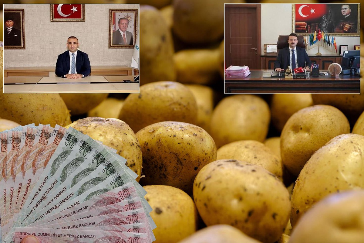 İlçeyi karıştıran 'Patates' krizi! Müdür tutuklandı, kaymakam ve başsavcının görev yeri değişti