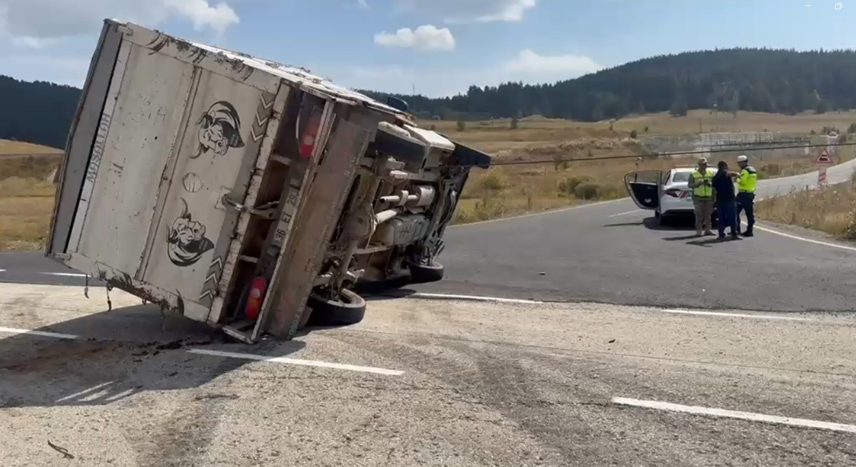 Kars Sarıkamış'ta hayvan yüklü kamyonet devrildi, 3 büyükbaş telef oldu