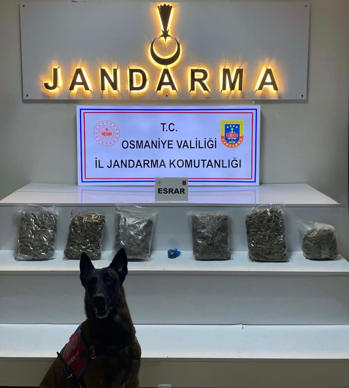 Osmaniye'de yayla evindeki aramada 2 kilo 800 gram esrar bulundu, 3 zanlı tutuklandı