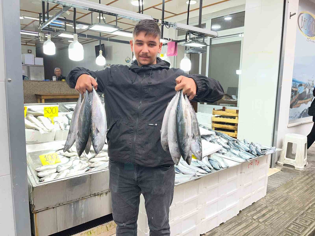 Sinop'ta palamut bereketi! Tezgahlarda fiyatı 50 liraya kadar geriledi