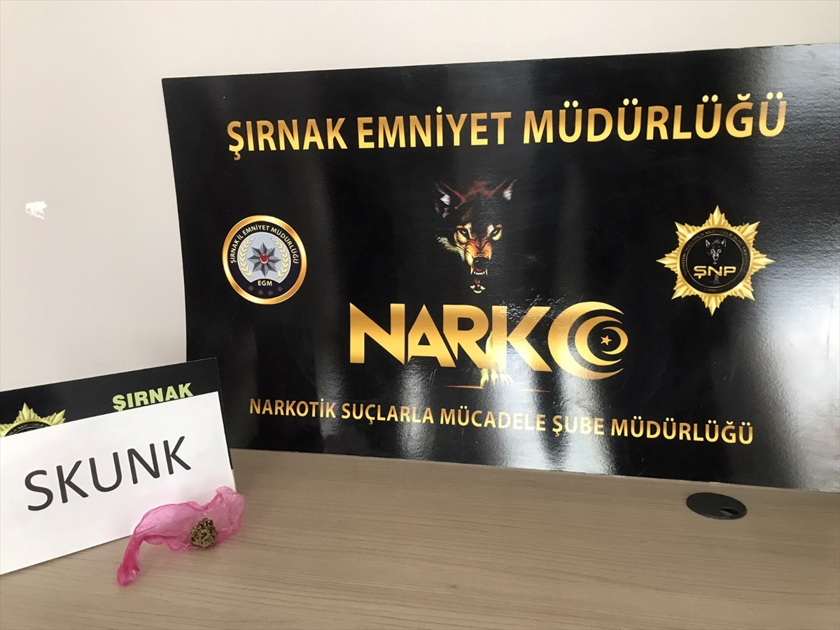 Şırnak'ta kaçakçılık ve asayiş operasyonlarında 36 şüpheli hakkında işlem yapıldı