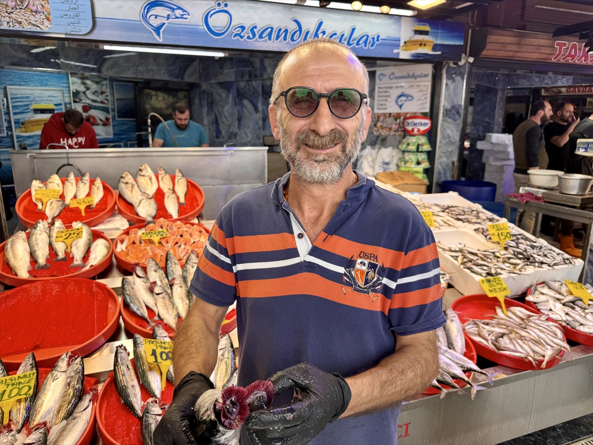 Trabzon Ortahisar'da balıkçı tezgahlarında palamut tanesi 100-125 liradan satılıyor
