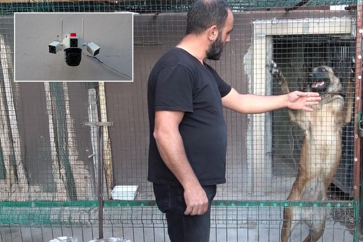 800 bin TL'lik güvercinlere servet gibi koruma! Kamera, çelik kapı ve kurt köpeği