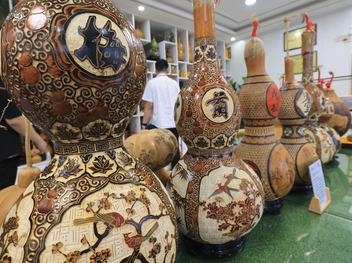 Çin'in Shandong eyaletindeki Tangyi'de su kabağı ekim alanı 666,67 hektarı aştı