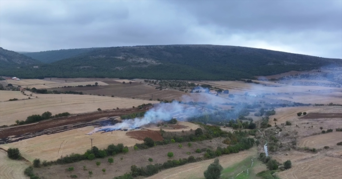 Çorum'da anız yakan kişiye dron kaydı sonrası 3 bin 706 lira ceza kesildi