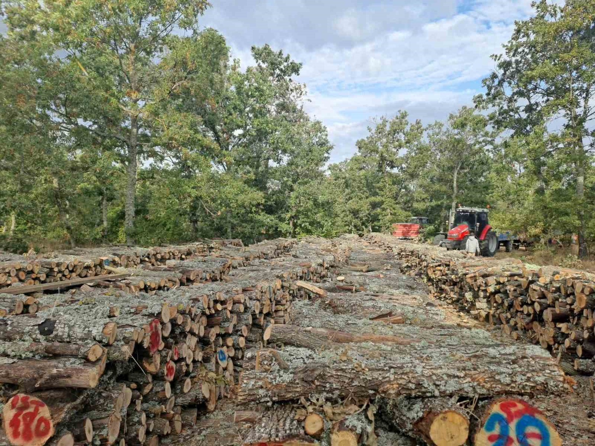 Edirne Lalapaşa'da kışlık odunlar metreküpü 700 TL'den dağıtılıyor