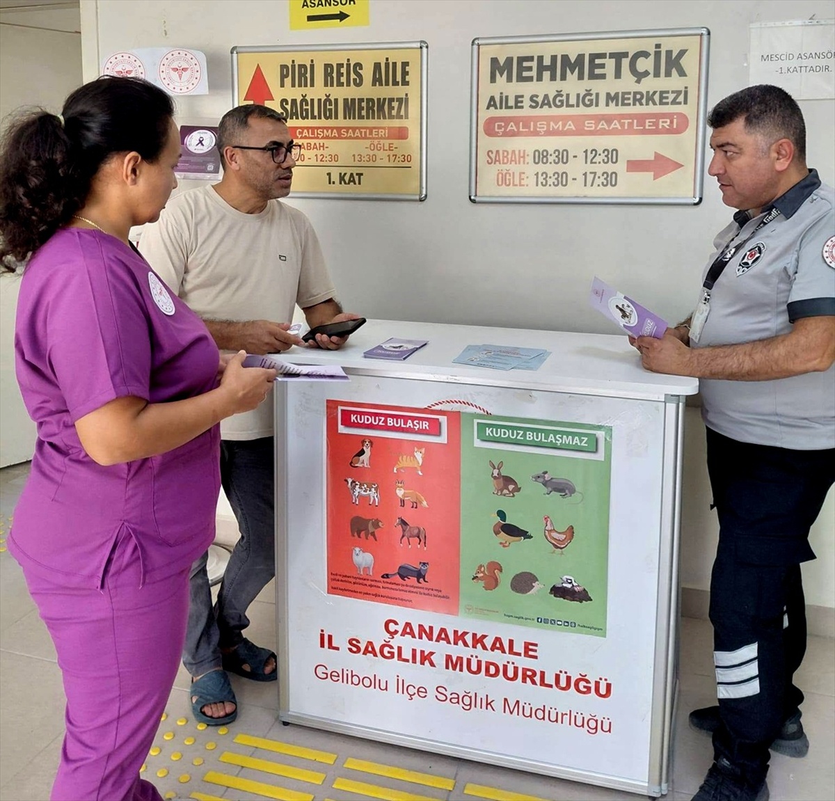 Gelibolu'dan kısa kısa
